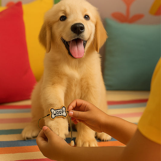 WOOF- Beaded Pet Rakhi