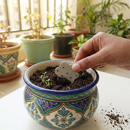 PLANTABLE SEED RAKHI KIT